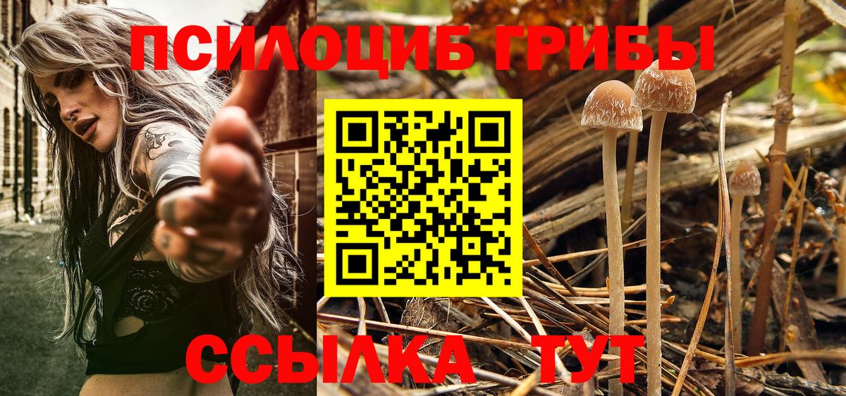 где продают наркотики  Вход с VPN  Гуково  Галлюциногенные грибы мухоморы 