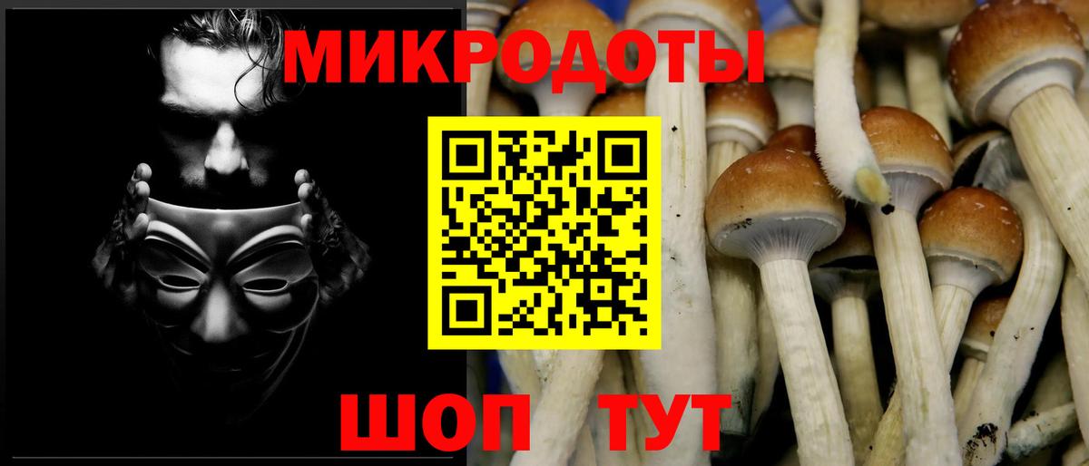 Галлюциногенные грибы мухоморы Гуково